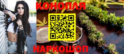 гашик Дубна