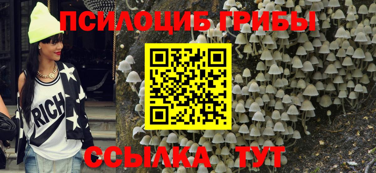Галлюциногенные грибы Psilocybine cubensis Магнитогорск